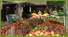 Abma's Farm Market has hay rides, a petting zoo, and of course the freshest produce!
